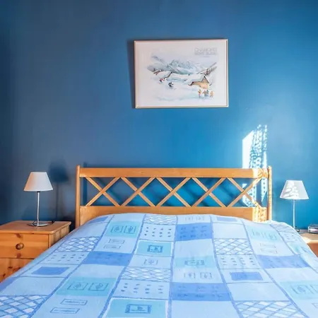 Family With Balcony In * 霞慕尼